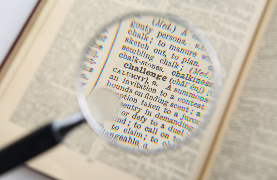 compétences Ambition Pro AUDREY ARNOUX