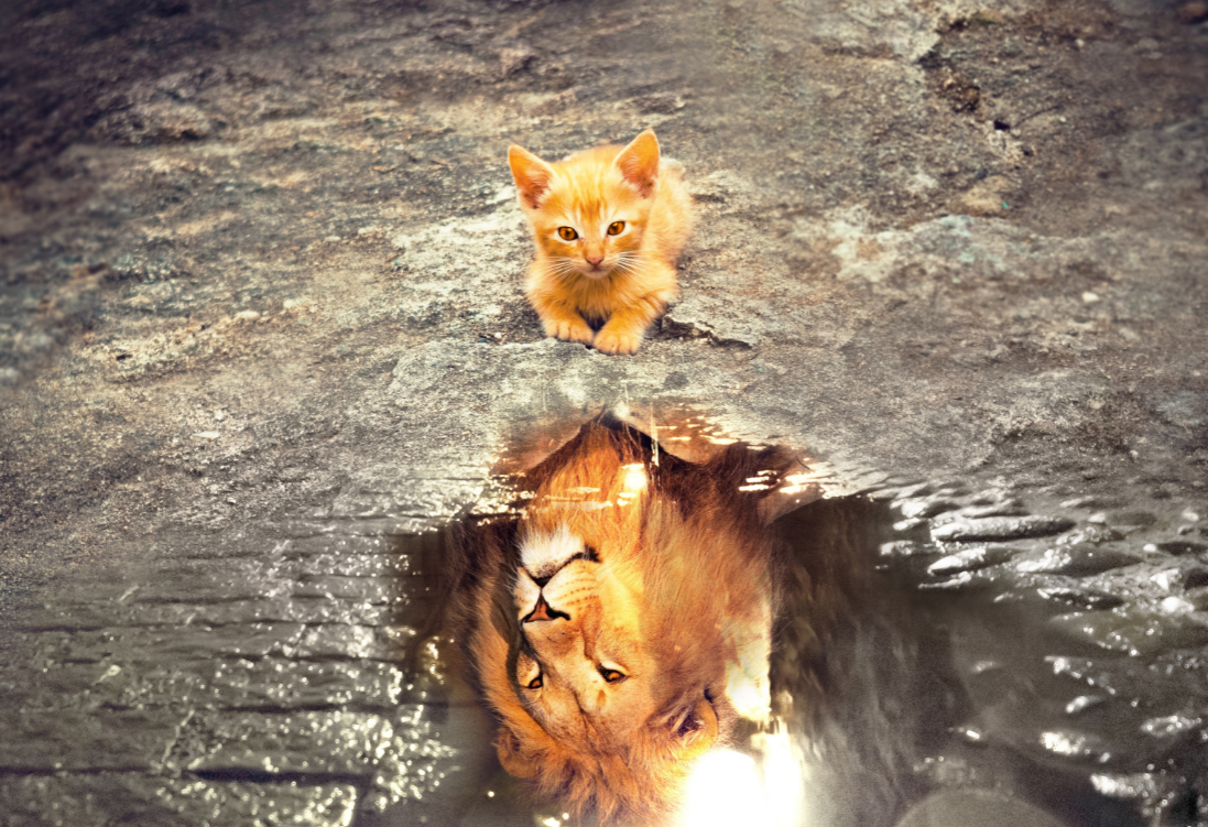 talents AMBITION PRO AUDREY ARNOUX